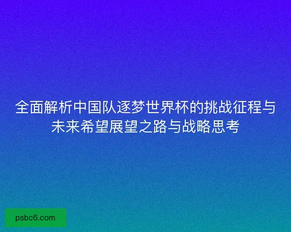 全面解析中国队逐梦世界杯的挑战征程与未来希望展望之路与战略思考