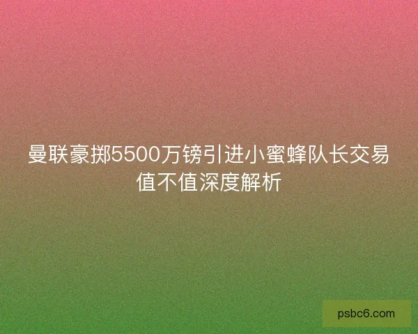 曼联豪掷5500万镑引进小蜜蜂队长交易值不值深度解析